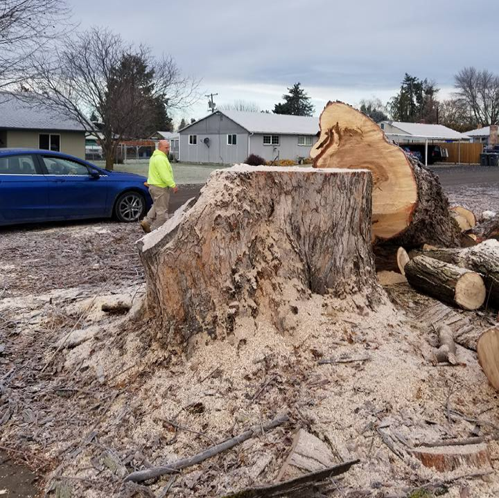 Stump Grinding